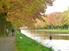 Neerpelt - Herfst langs het kanaal