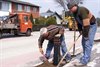 Hamont-Achel - Het einde is in zicht