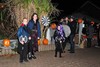 Tongeren - Halloweenpompoenen in Henis