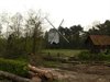 Overpelt - Bomen weg voor molen
