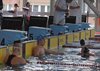 Pelt - Tom Vangeneugden 2de op BK 800m