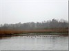 Meeuwen-Gruitrode - Ondertussen, in het Broekven...