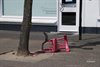 Hamont-Achel - Vandaag gezien...