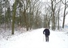 Meeuwen-Gruitrode - Kranige Mathieu wandelt graag