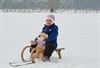 Lommel - Sneeuwpret in de Sahara