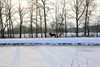 Lommel - Sneeuw en ijs in Gelderhorsten