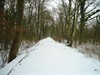 Houthalen-Helchteren - De Tramroute onder de sneeuw