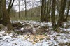 Meeuwen-Gruitrode - Met dank aan de wandelaars