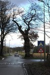 Meeuwen-Gruitrode - Aan de fotoliefhebbers in de gemeente