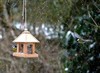 Neerpelt - Denkt u ook aan het voederen van de vogels?