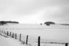 Neerpelt - Met de groeten uit... Banneux