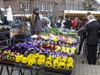 Hamont-Achel - De lente komt er aan