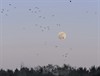 Meeuwen-Gruitrode - Een mooie volle maan