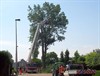 Overpelt - Brandweer rooit boom vanwege veiligheid
