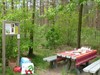 Hamont-Achel - Picknicken bij het bos