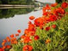 Lommel - Vandaag gezien aan de Blauwe Kei