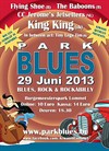 Lommel - Nu zaterdag 9de editie 'Parkblues'