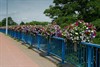 Neerpelt - Goed weer voor de bloemen