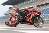 Neerpelt - Werner Daemen in de spotlights