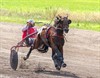 Tongeren - Guido Laureys wint op Jekerhippodroom