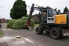 Overpelt - Bomen weg in de Kruisstraat