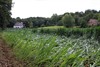 Lommel - Met de groeten uit... de Westhoek