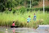 Lommel - Verfrissing aan het water