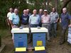 Lommel - Op de heide staan de bijen