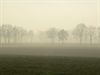 Tongeren - Mist of geen mist, dat is de vraag