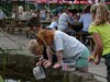 Neerpelt - Vandaag gezien...