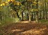 Hamont-Achel - Herfst aan de Kettingbrug