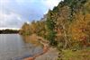 Lommel - Herfst in de Sahara