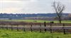 Lommel - Vandaag gezien op Kattenbos