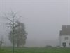 Overpelt - En er was mist...