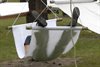 Neerpelt - Fata Morgana: foto's dag 5 (vrijdag)
