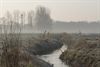 Neerpelt - Ochtend boven de Warmbeek