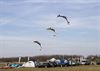 Lommel - 'Belgium Landkite Contest' op Balendijk