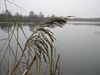Neerpelt - Hageven is een tweesterrenplekje