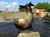 Overpelt - Vakantiegroeten uit... Harderwijk