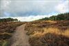 Lommel - Bewolking boven de Blekerheide