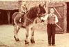 Neerpelt - Herinneringen: Mandus met paard