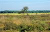 Lommel - Een blik op de Blekerheide