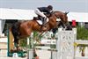 Hamont-Achel - Beste ruiters weer in Valkenswaard