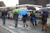 Overpelt - Lindel markt in de regen