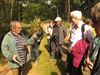 Houthalen-Helchteren - Wandelen op de purperen hei...