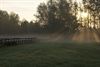 Neerpelt - Zonsopgang in het Hageven