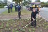 Lommel - Zesduizend vlinderplantjes voor Lommelaren