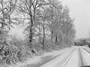 Lommel - En dan toch nog sneeuw