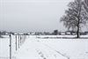 Lommel - Sneeuw in Kattenbos