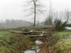 Lommel - Bomen gerooid aan Oude Maai